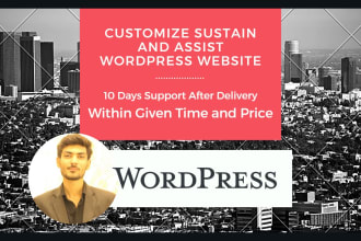 customize sustain and assist wordpress website