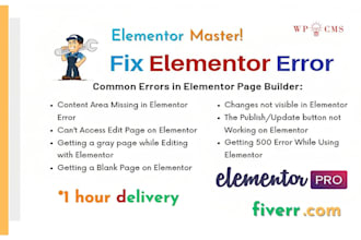 fix elementor error, customize, update elementor website