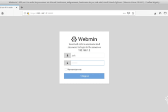 setup your vps or dedicated server for web or VPN