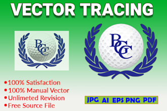 redraw and vectorize your logo