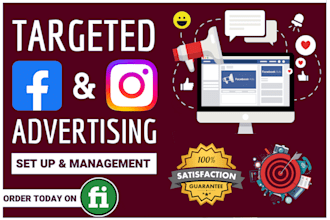 set up facebook and instagram ad campaign