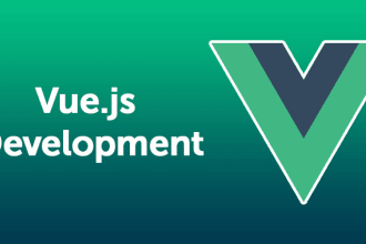 develop or fix bugs in vuejs or nuxtjs app