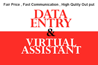 do data entry project or investment analysis