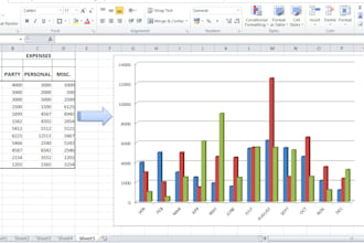 provide excellent excel spreadsheet works