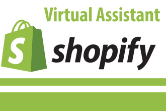 be your shopify virtual assistant