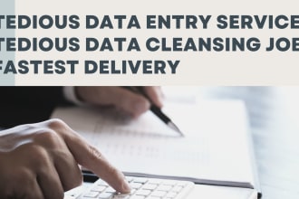 do fastest data scrubbing, excel cleaning work, copy paste jobs