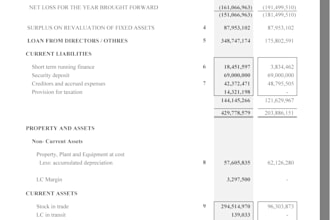 do accounting, bookkeeping, financial statements  and audit