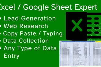 do excel data entry and web research