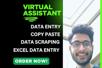 be virtual assistant executive assistant 24 hours