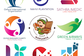 do professional logo and branding for company, website