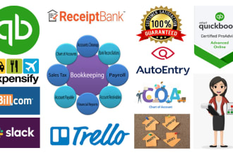 provide professional bookkeeping and reconciliation