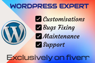 help you fix and customize wordpress website
