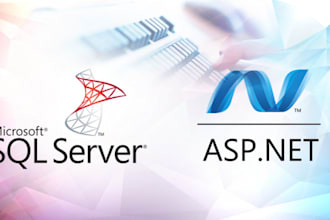 create desktop and web applications for you