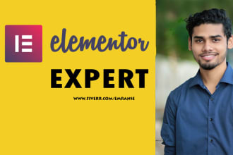 design or redesign wordpress website using elementor pro