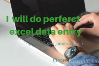 do perfect excel data entry
