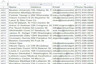 web research,email finding,company details,contact informat