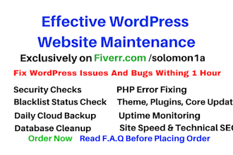 do wordpress website maintenance, support, help, fix issues
