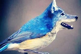 make a photo of ANY hybrid animal