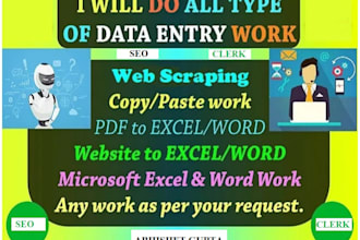 do best quality data entry work