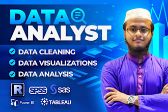 do data cleaning, visualization, analysis, reporting by r, spss, sas, tableau