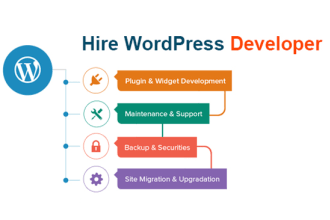 develop wordpress website and fix wordpress errors, issues