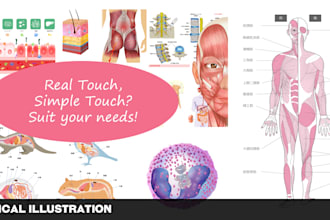 create medical, educational illustration for you