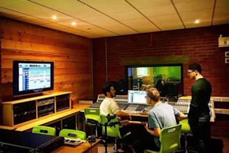 create and deliver a proffesional bass line for your tune