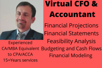 work as virtual cfo virtual accountant virtual assistant