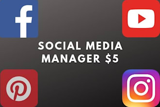 be social media manager and content creator