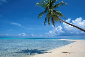 help plan your next vacation