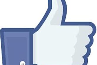 add REAL ++1000  Facebook Fan Likes on your Fanpage  superfast for just