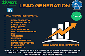 b2b lead generation data entry copy paste linkedin web research