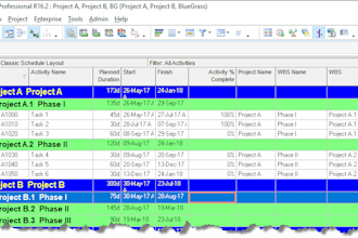 project management and construction delay analysis