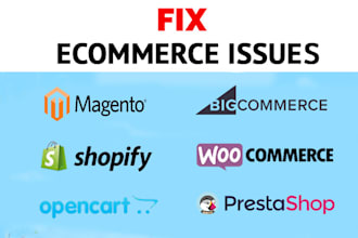 fix ecommerce site issues