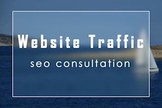 consult on website traffic