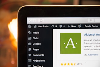 fix wordpress bug, issue or optimize your wp
