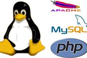 do anything in PHP and mysql