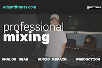 professionally mix your song with analog gear