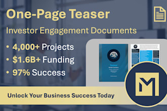 prepare one page investor teaser