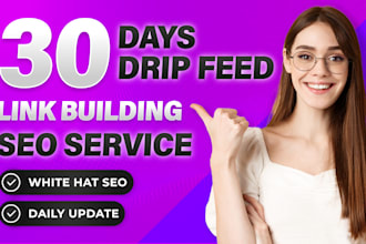 do 30 days drip feed monthly SEO link building service