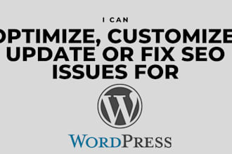 optimize, customize, update or fix SEO issues for wordpress