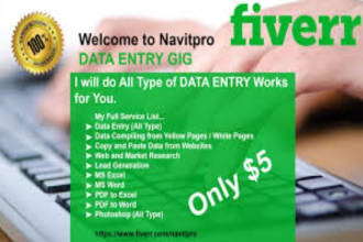 do fast data entry for you any type