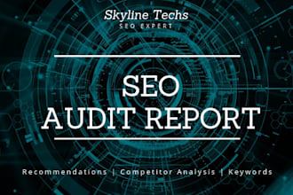 audit your website and SEO report for higher rankings
