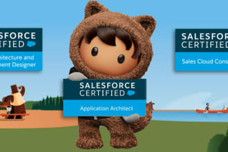 be your salesforce developer, consultant, and administrator