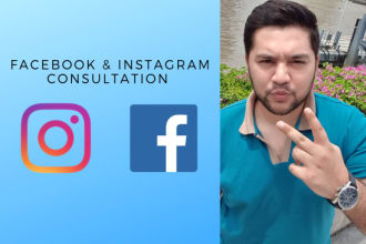 provide facebook ads consultation  through zoom meeting