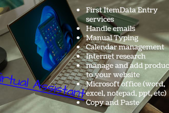 do data entry, data mining, data collection
