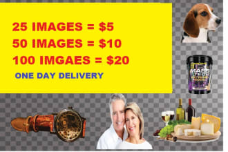 transparent,resize,edit or background remove your any image