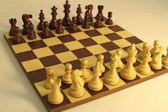 teach you chess