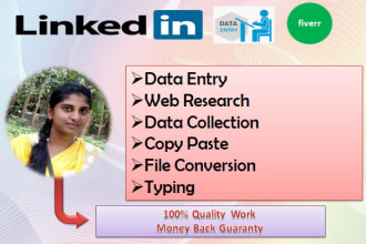 do linkedin and wordpress data entry for you