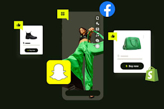 set up, optimize snapchat and facebook ads for shopify store to scale 4x faster